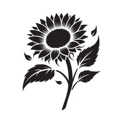 Sunflower silhouette vector with white background