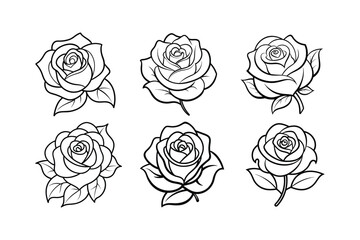 rose line art vector illustration