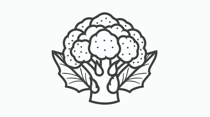 Cauliflower Vegetable Line Art Vector Icon with Leaves
