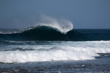 Whale tale wave