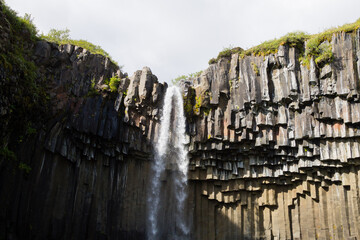 Svartifoss falls in summer season view, Iceland