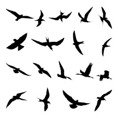 Bird Silhouettes Animal art design logo icon set
