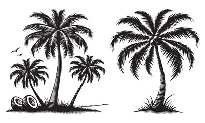 coconut tree silhouette