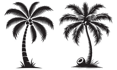coconut tree silhouette