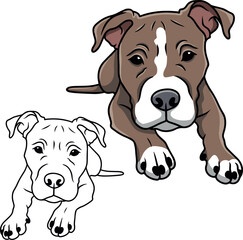 Pitbull dog vector
