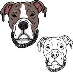 Pitbull dog vector
