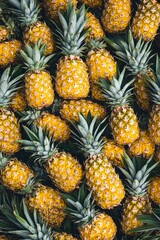 Pineapple slices on yellow background