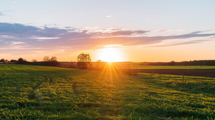 sunset over the green field
