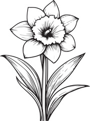 Graceful Daffodil Line Art