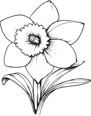 Graceful Daffodil Line Art