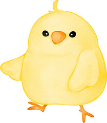 watercolor chick