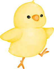 watercolor baby chick
