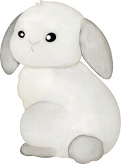watercolor rabbit