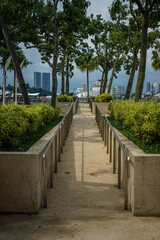 Singapore, Asia, a row of palm trees on a stone bench