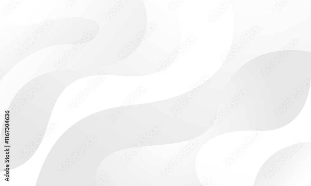Poster white background with silver abstract curve line elegant graphic design element decoration