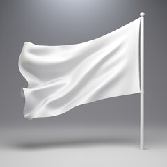 Blank White flag