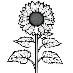 Elegant Black and White Sunflower Illustration