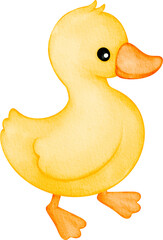 watercolor baby duckling