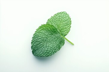 Mint leaves isolated on a white background
