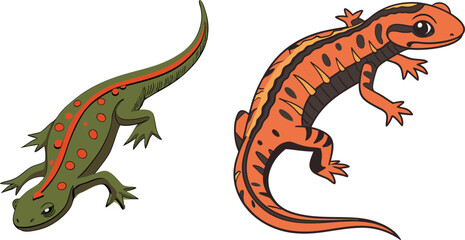 Salamander bundle design art and illustrator eps