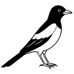 Obraz premium bird on a branch