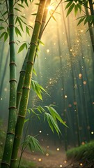 bamboo forest background
