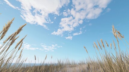 Obraz premium Serene Coastal Dunes with Tall Grasses and Ocean View in Photorealistic Ultra-Detailed Rendering