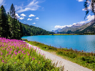 Cycle and pedestrian path from Surlaj to Sils-Engadine-Switzerland