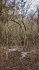Cedar Valley Park