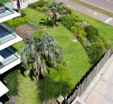 edificios, flores, plantas, verde