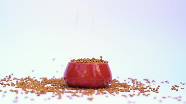 Dried organic fenugreek seeds in the bowl - Trigonella foenum - graecum