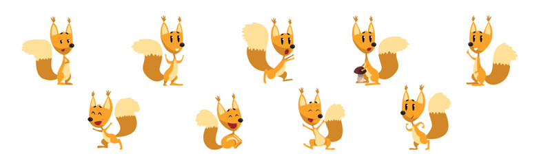 Funny Squirrel Animal with Bushy Tail Vector Set