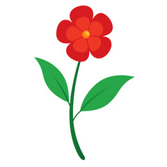 red flower isolated on white