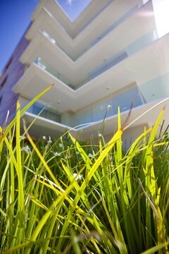 edificios, flores, plantas, verde