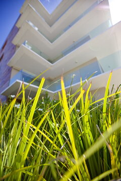 edificios, flores, plantas, verde