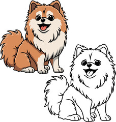 Pomeranian Spitz vector dog puppy