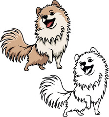 Pomeranian Spitz vector dog puppy