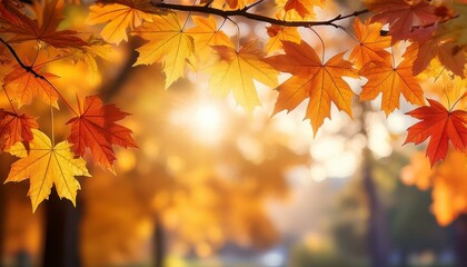 colorful autumn maple leaves on a tree branch golden autumn foliage leaves background with replica area