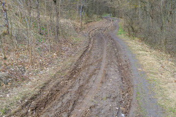 Fototapeta premium Muddy dirt road with tire tracks winding through the forest in early spring. Landscape photography for design and print.