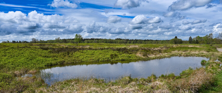 Beautiful view of the Fagne de Malchamps