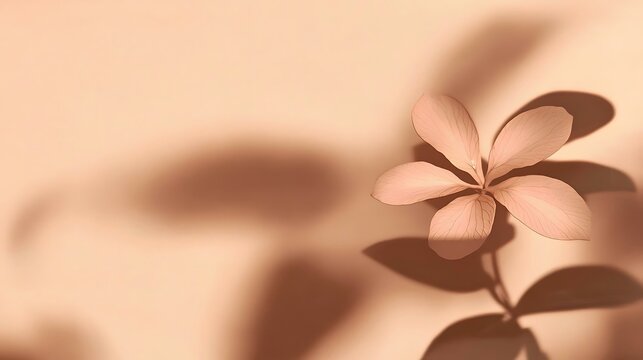 Soft Pastel Floral Shadow Play