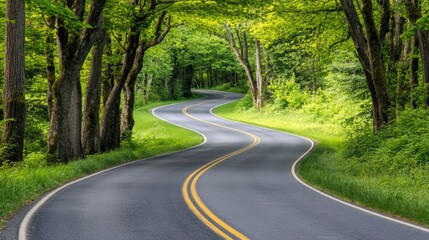 Fototapeta premium Winding Road Through Lush Green Forest Canopy
