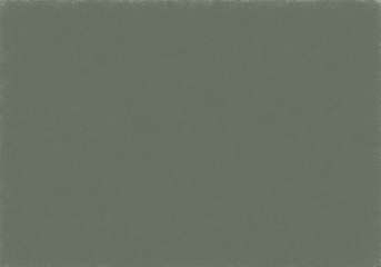  Abstract Multicolored Web-Like Pattern (Slate Green) A vibrant and intricate abstract design featuring a grunge pattern of intersecting lines, earth tones, grunge green colors surface