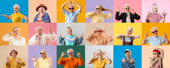 Collection of stylish elderly women on color background