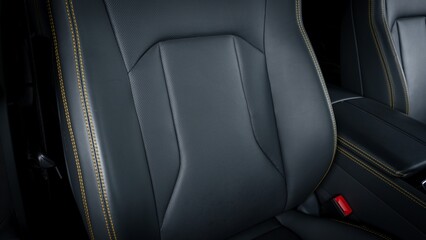 Passenger seat back