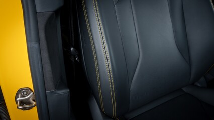 Passenger seat back