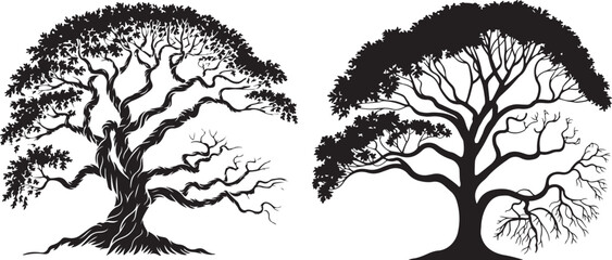 Beautiful Tree Silhouette Illustration with Detailed Branches