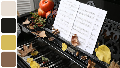 Musical notes and autumn decoration on piano. Closeup