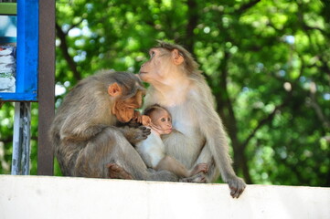 bond of small family 