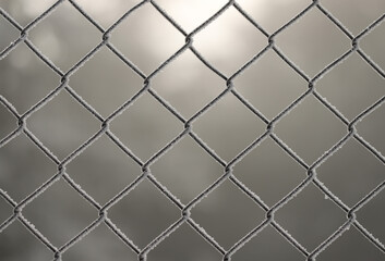Naklejka premium Metal link fence with wire